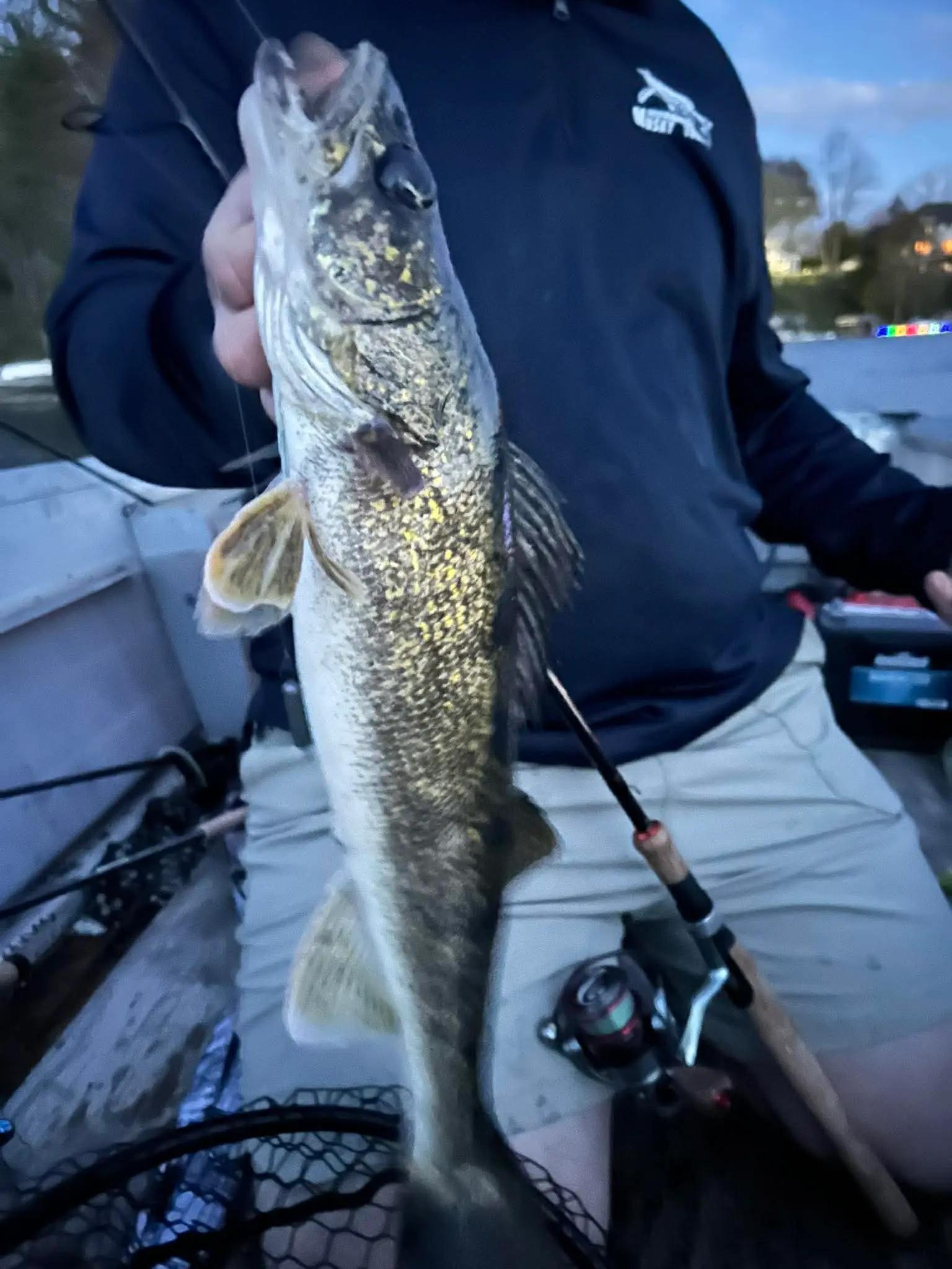 A healthy catch from Lake Keesus